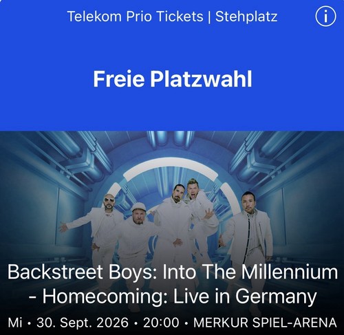 Backstreet boys into the - boys,