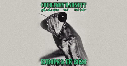 Courtney barnett live - courtney,